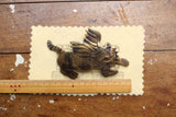 BO'S GLAD RAGS / "Flying Tiger" Hobo Nickel Co. Vintage Finished Brass Pinback (A26-02)